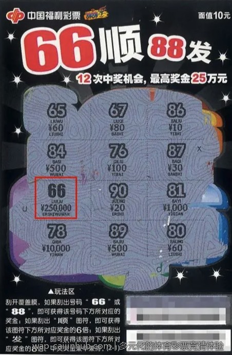 多元化的体育彩票竞猜体验